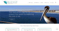 Desktop Screenshot of bicepjpa.org