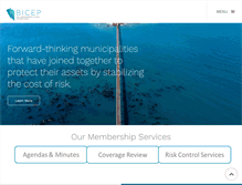 Tablet Screenshot of bicepjpa.org